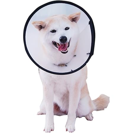 Amazon エリザベスカラー ベットカラー Mサイズ エリザベスカラー 通販 Amazon エリザベスカラー ベットカラー Mサイズ エリザベスカラー 通販