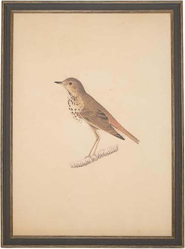 Vista 35 de Petal Lane - Decoración de pared antigua enmarcada - Haz tu propio juego de marcos de pared de galería, decoración de pared de academia oscura, arte