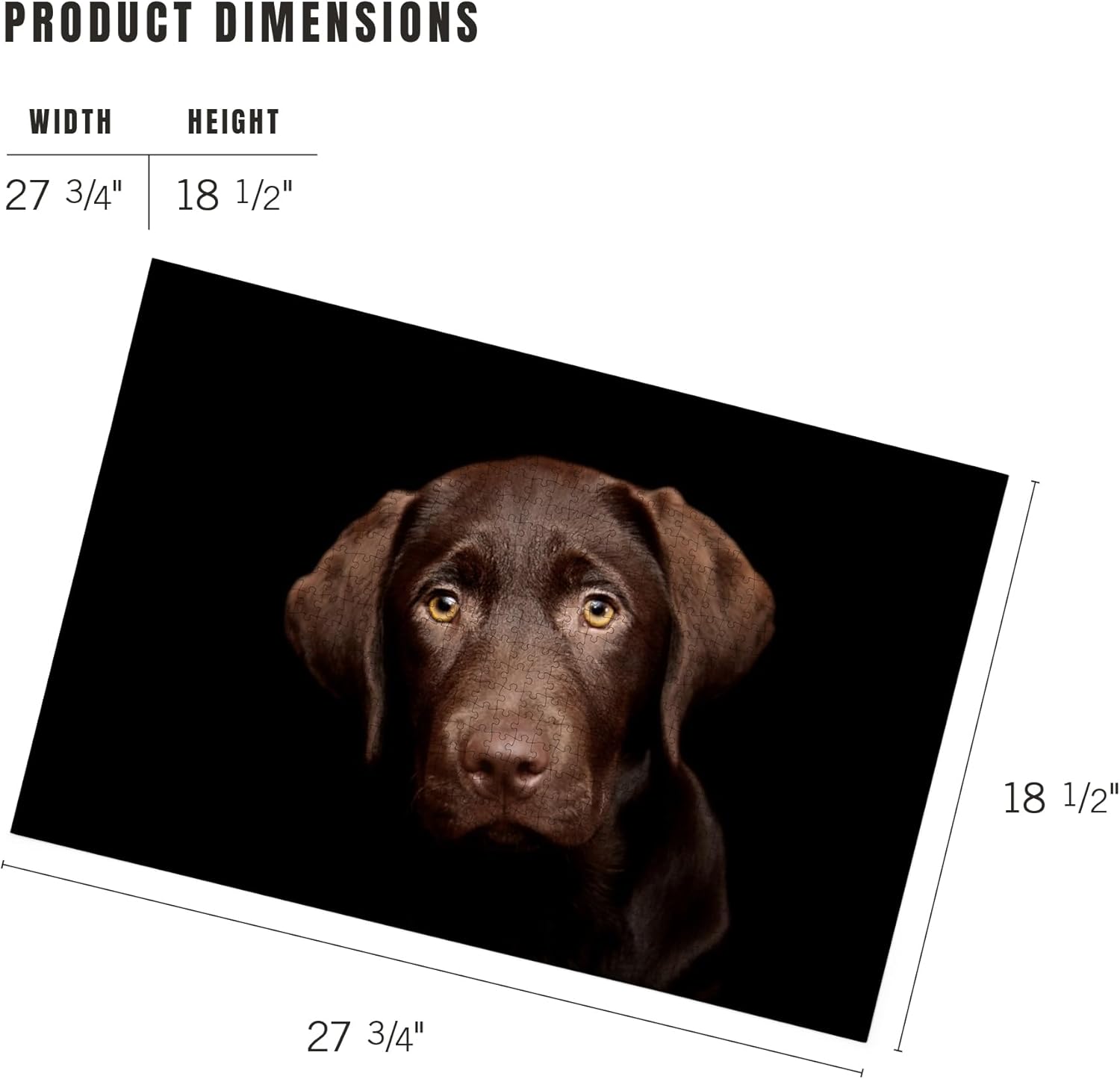 Chocolate Labrador Puppy (1000 Piece Puzzle, Challenging Jigsaw Puzzle for Adults, Made in USA)