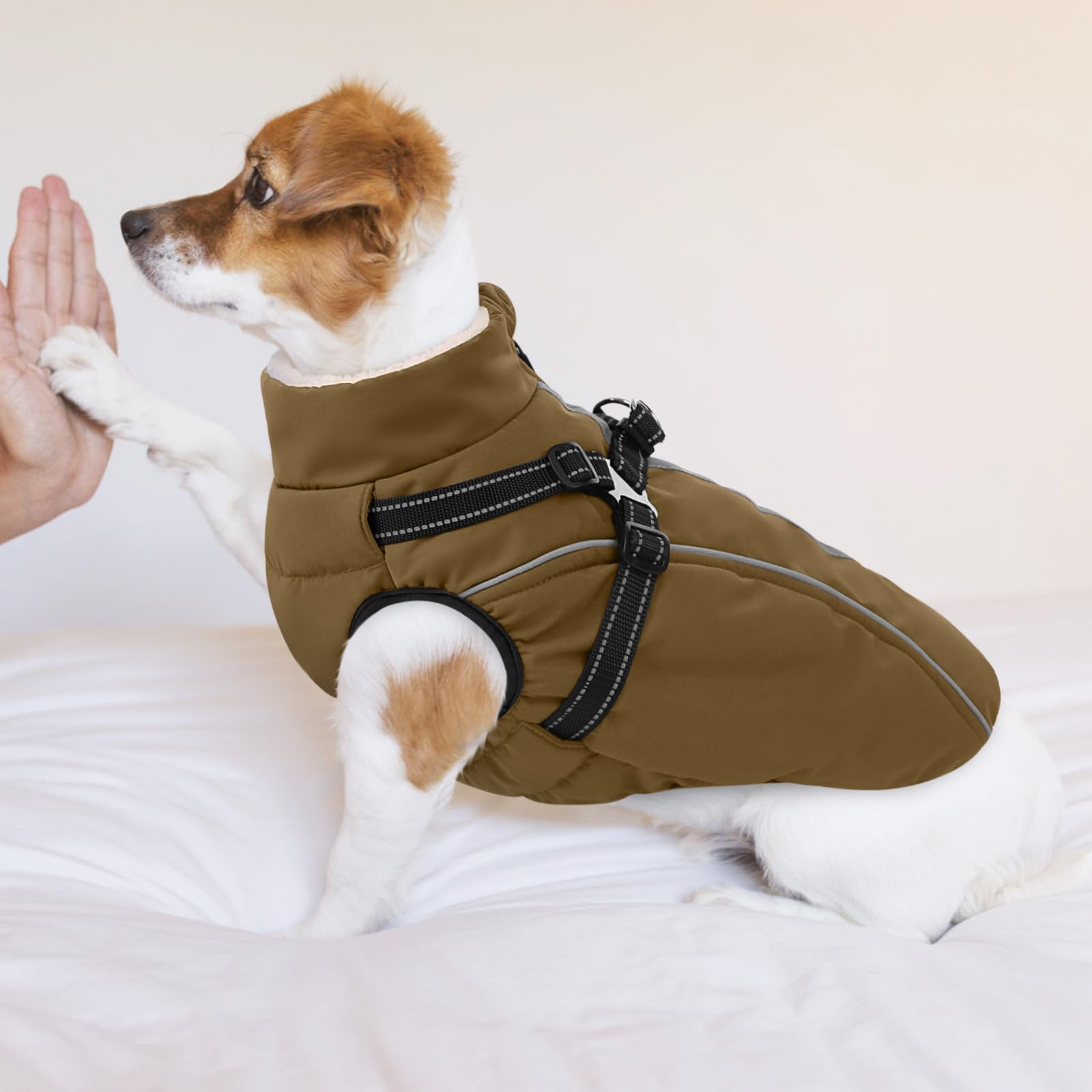 CITÉTOILE Manteau Imperméable pour Chien avec Doublure Polaire, Réflecteur, Harnais, Col Chaud, Brun, S