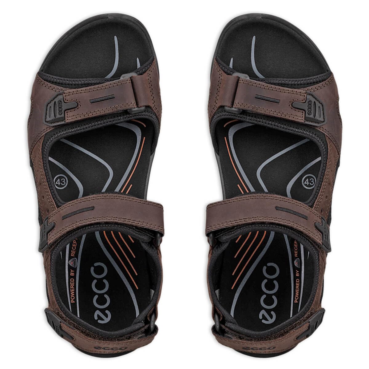 ECCO OFFROAD