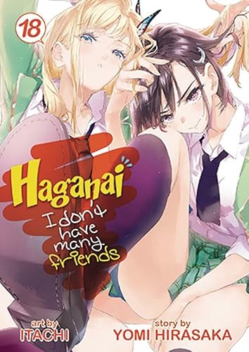 Haganai: I Don't Have Many Friends Vol. 19 1645058441 Book Cover