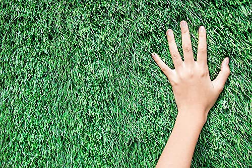 Image of Artificial Grass Carpet Mat - High Density Grass Carpet mat for Covering Garden, Hotel, Restaurant, Wall, Terrace, Balcony,Home Decor, Lawn, Doormat(25 MM,5X8 FEET)