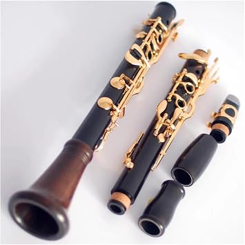 Ebony Tube Body 18 Keys Gold Plated Keys G Tone Clarinet Woodwind Instrument With Case Clarinet Kit