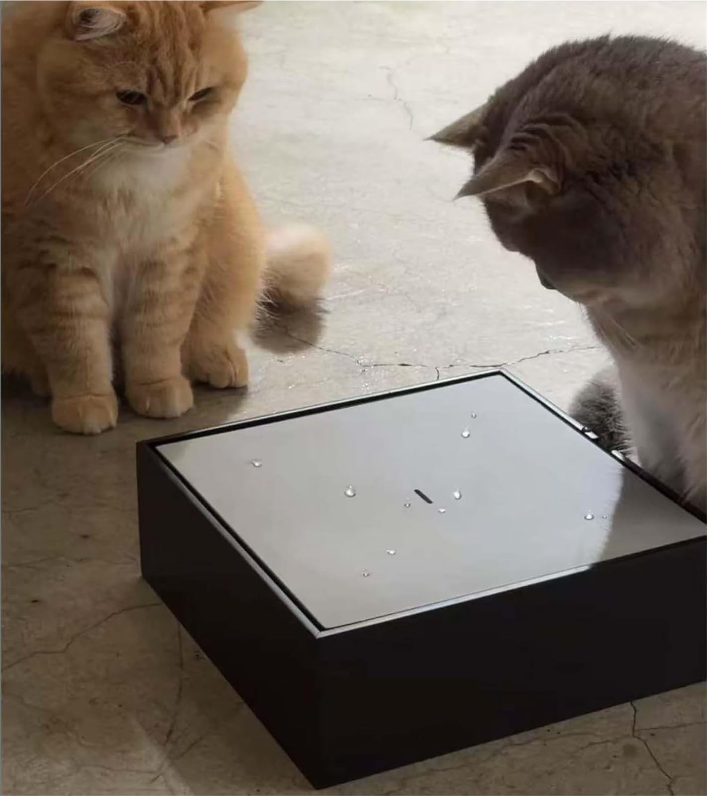 Automatic Water Drop Cat Teaser, Electric Cat Teaser