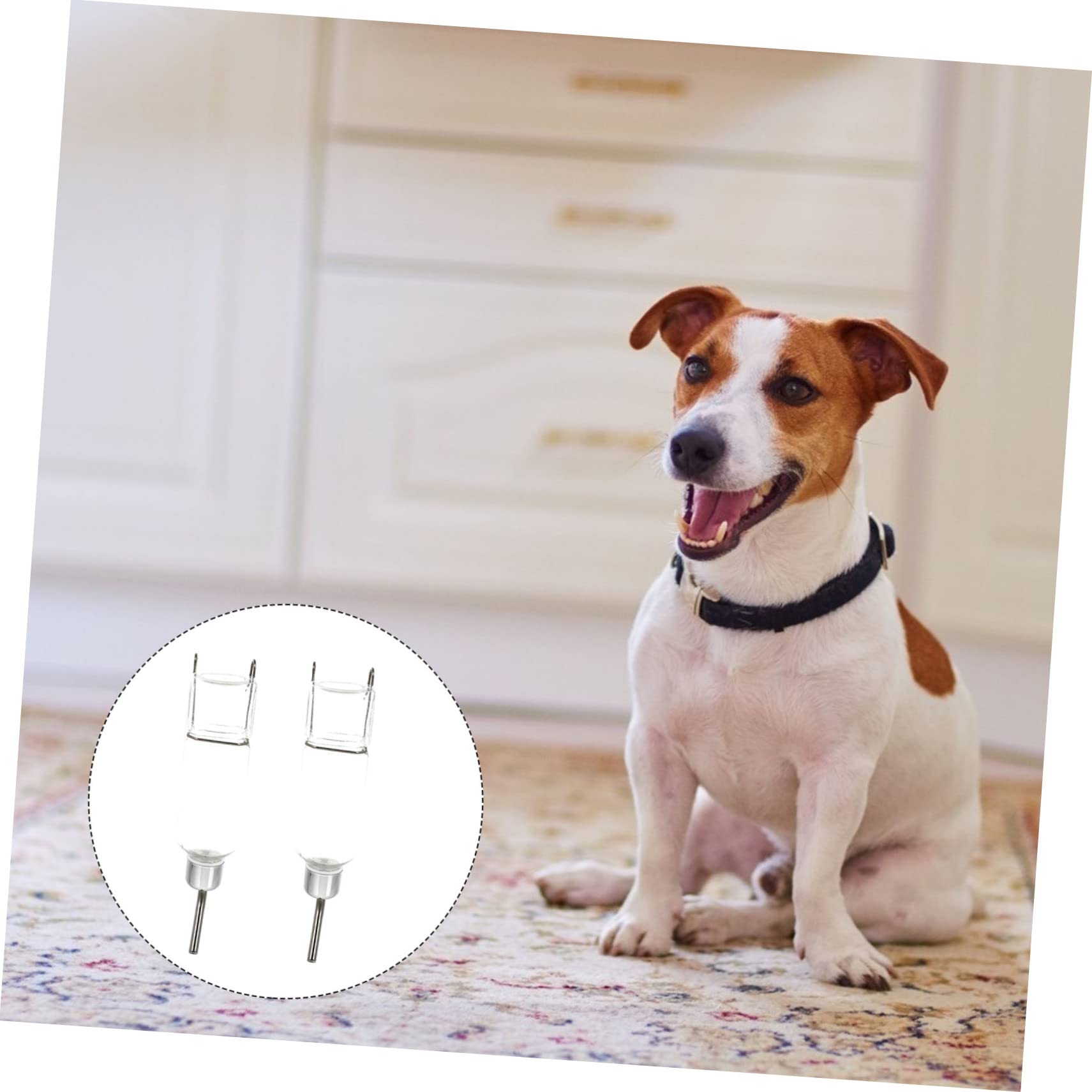 FOMIYES 4 Pz Fontanella Borraccia per cani da parete distributore d'acqua per animali domestici borraccia stich borraccia per animali domestici dispositivo per bere acqua lotta francese