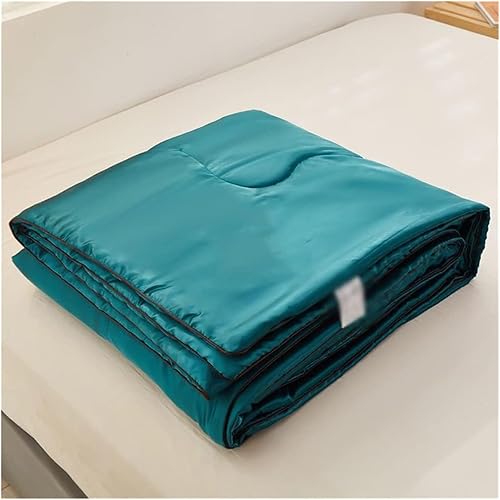 Duvets Conditioning by Summer Cool by Spring and Autumn Thin Quilt Single and Double Skin Friendly Washable Quilt Core Quilts (Color D, Size 150 *