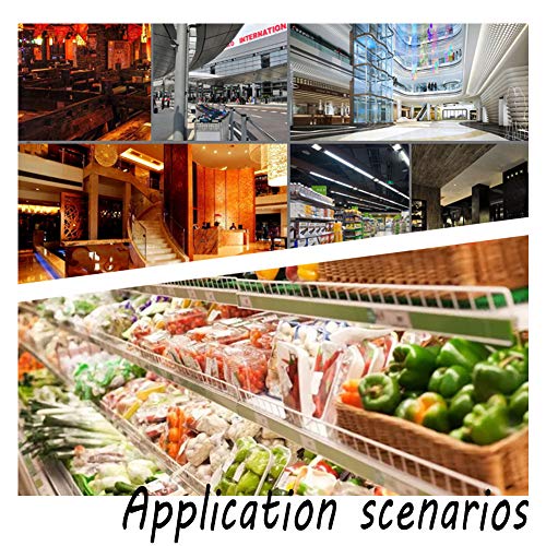 PH PandaHall 100pcs Porta Etichette in plastica