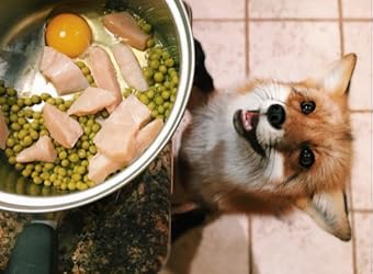 Customer Image, click to open customer review