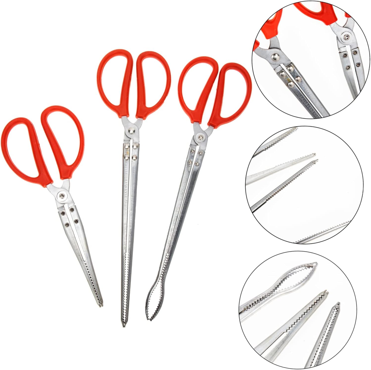 SOLUSTRE 3 Pcs Stainless Steel Non-Slip Crab Claw Pick Up Pincers Seafood Tools for Crabs Lobsters and Shrimps for Fishing and Cooking