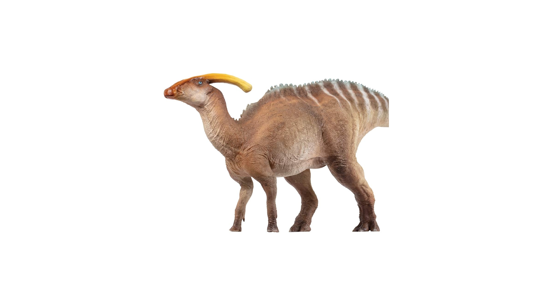 Amazon.com: PNSO Prehistoric Dinosaur Models (44 Wyatt The