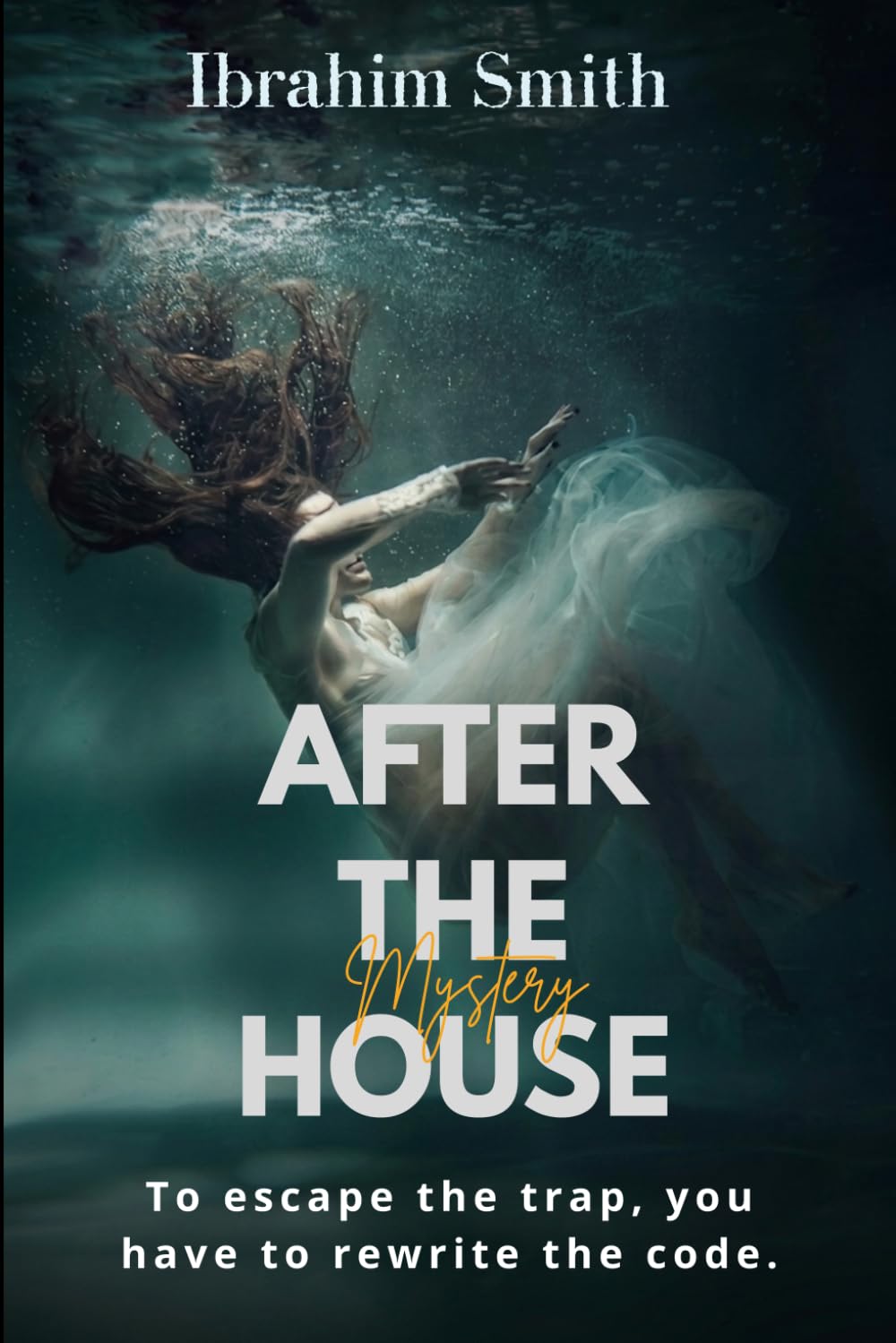 After the House: A Medical Tech Thriller