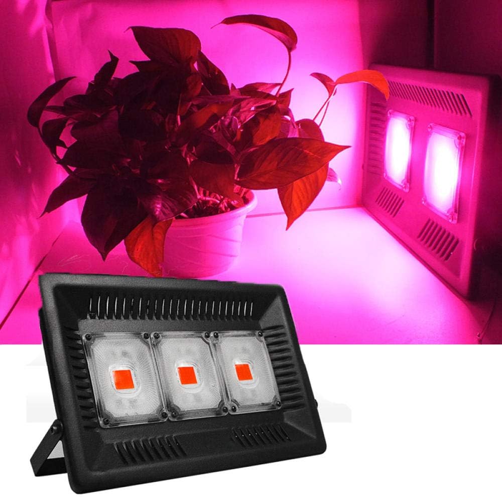 1000w grow lights