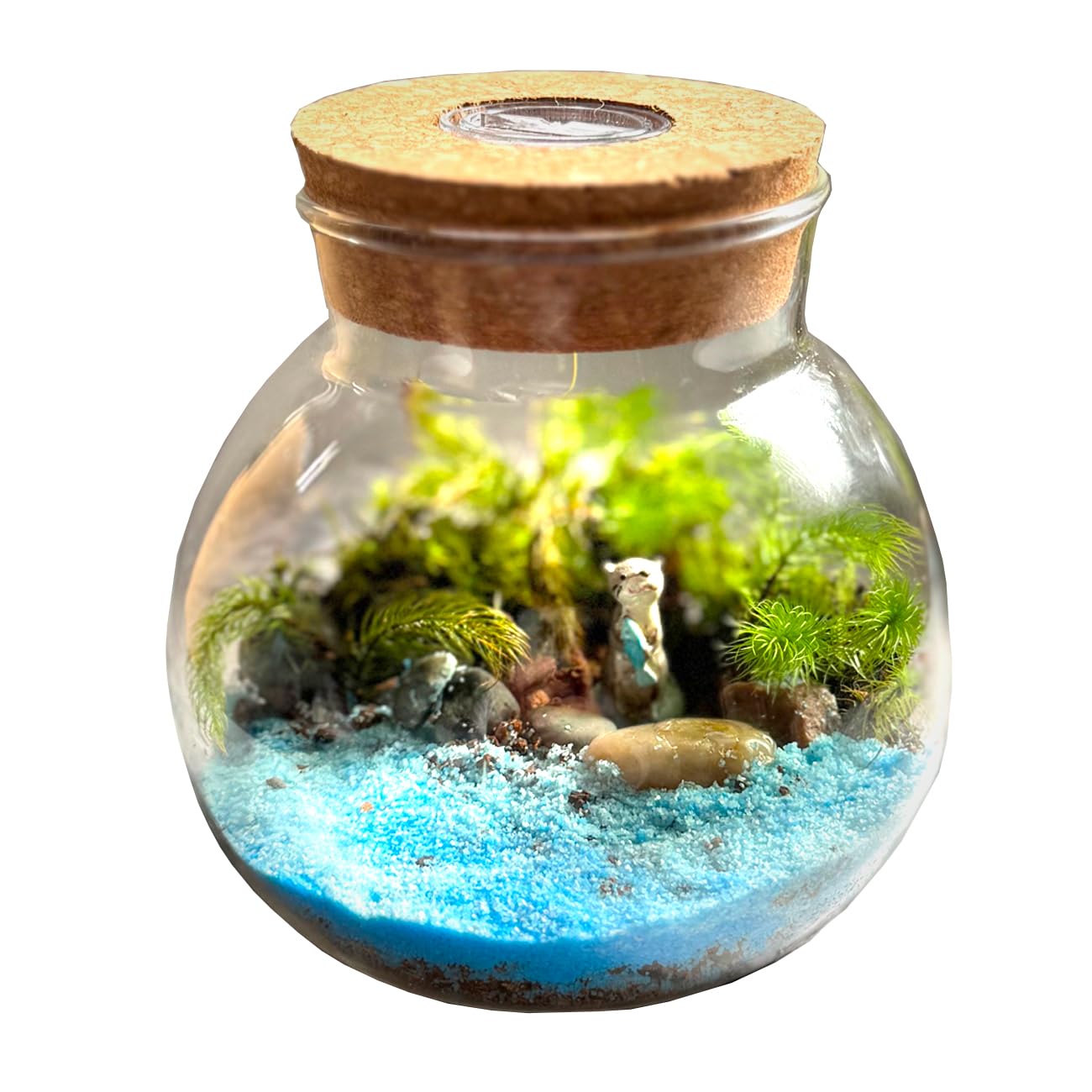 No.298 苔アート　苔テラリウム　完成品 神秘な森の苔テラリウム 【完成品】苔アート 苔テラリウム 苔