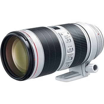 Canon - 【Lucky】CANON EF70-200mm f/2.8L IS USM Amazon.com : Canon EF 70-200mm f2.8 L is III USM Telephoto