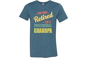 I'm Not Retired I'm A Professional Grandpa T-Shirt