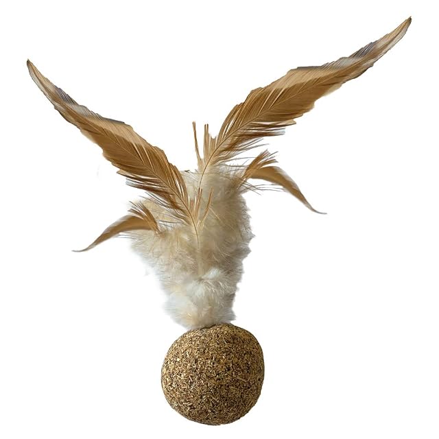 Croci Euphoria - Bola con Pluma Silvervine 3 cm