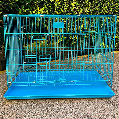 Image of Double Door Metal Wire Dog Cage, Dog Crate, Kennel Crate Dog Cage for Dogs with Removable Tray - 36 Inch (Random Colors) (Size 36 Inch)