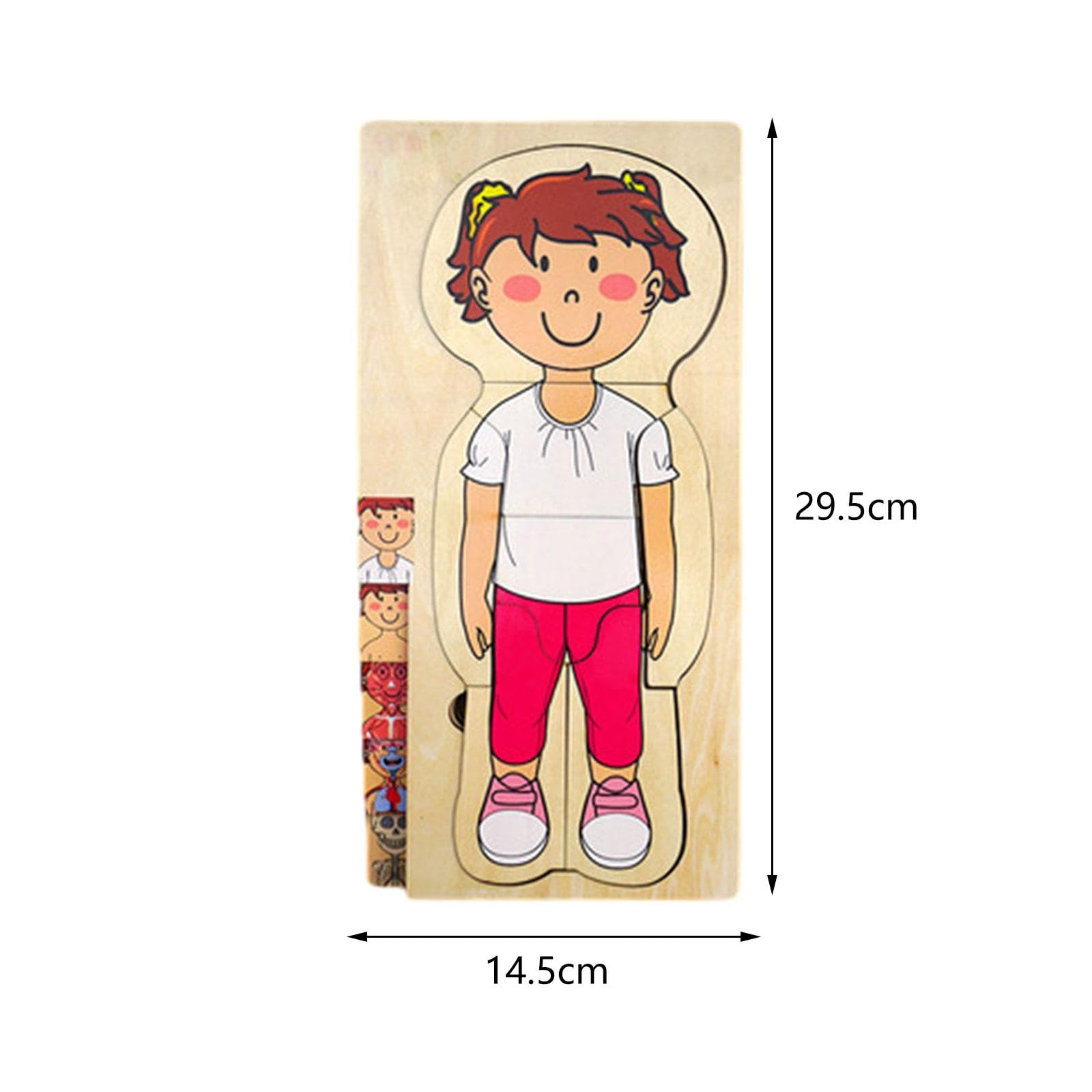 Generic Rompecabezas del Cuerpo Humano, Rompecabezas, Rompecabezas Intercambiables para Desarrollar Habilidades Motoras Finas, Rompecabezas de Partes del Cuer, Muchacha