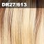 DR27/613