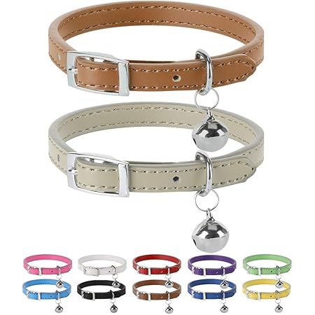 leather cat collar amazon