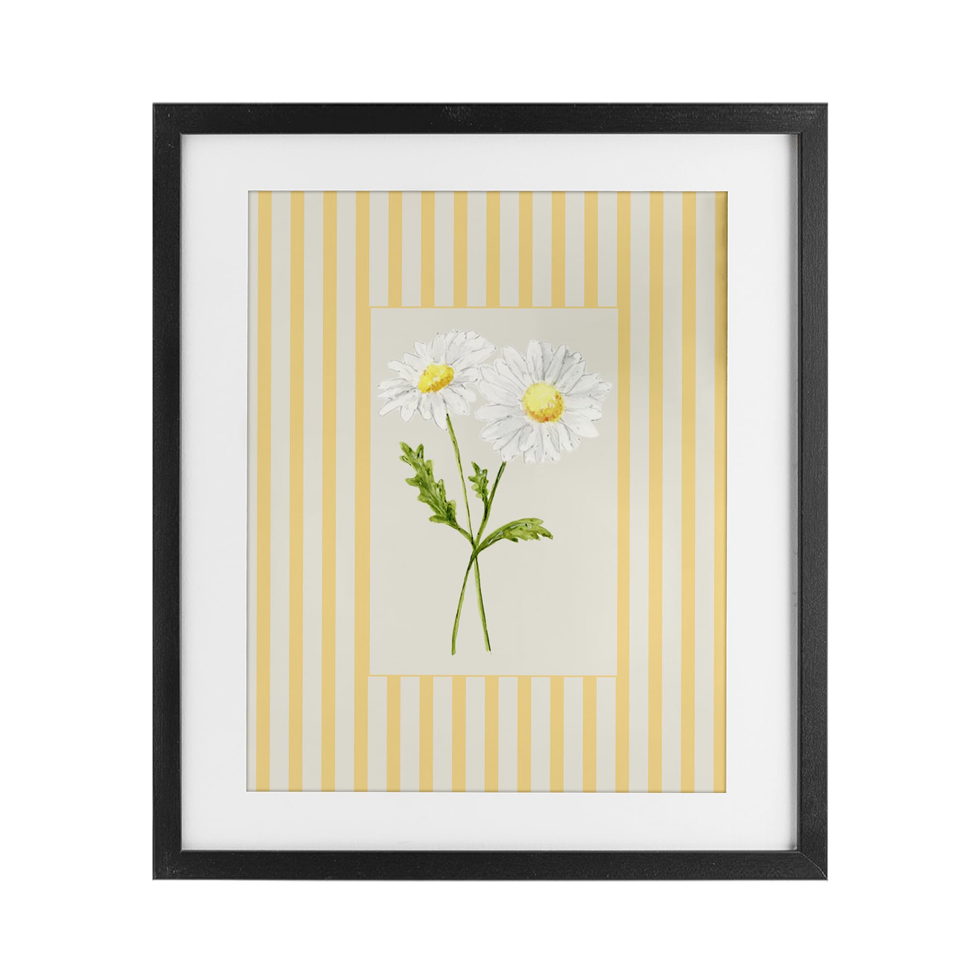 'Yellow Stripe Daisy'| Framed Print Under Glass