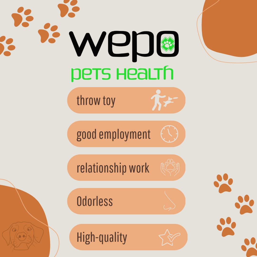 WEPO Dog Frisbee, Diameter 15 cm, Set of 3, Dog Toy for Small Dogs Water Toy, Dog Frisbee, Throwing Toy in Red/Purple/Green - Image 3