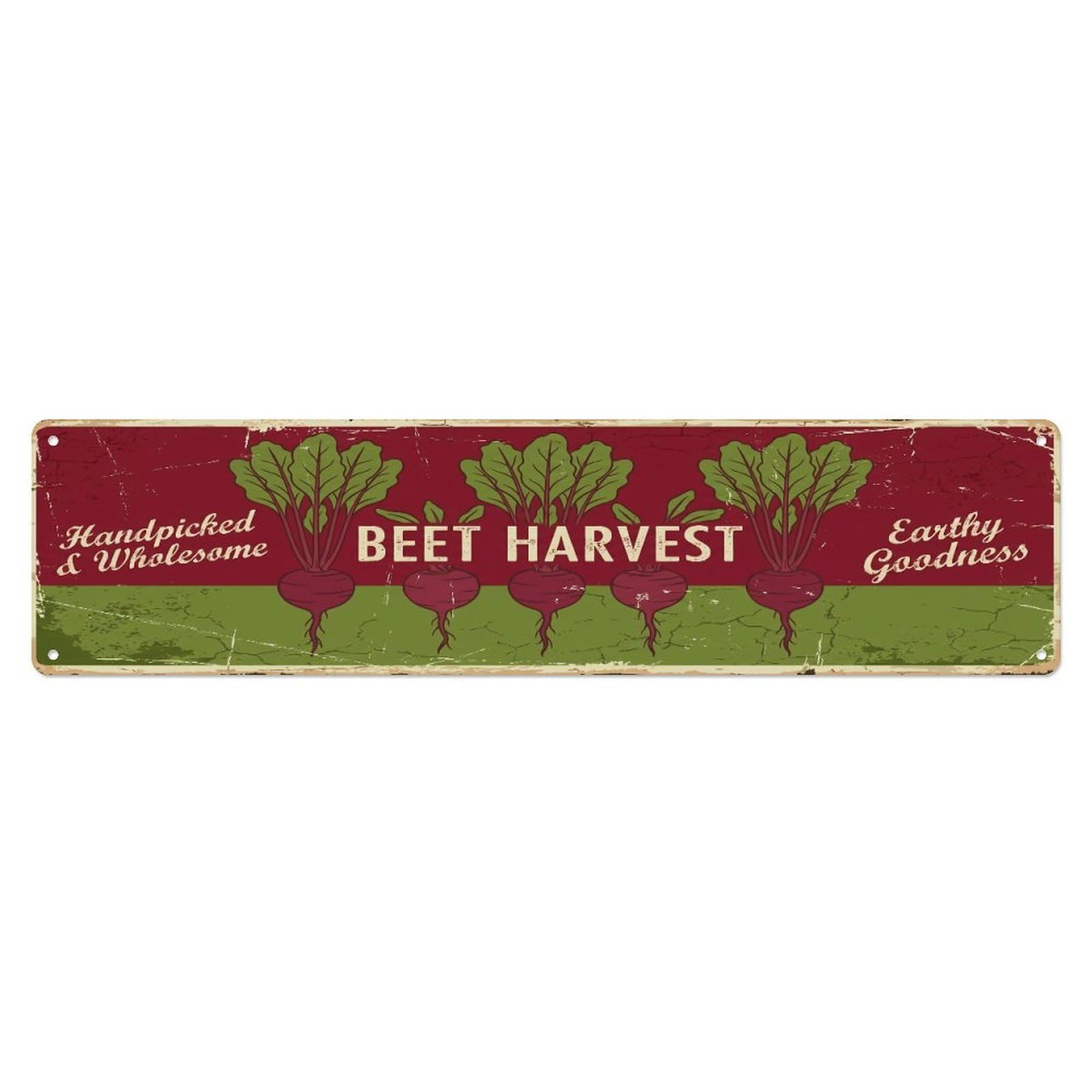 Fqcyn Style Metal Tin Sign Vintage Cottagecore Garden Beet Harvest Banner