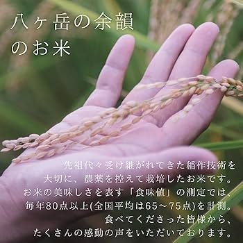 Amazon.co.jp: 【令和6年度新米】八ヶ岳の余韻 ミルキークイーン