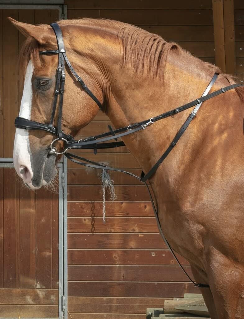 (Ekia) 3338025592734 Horse Riding Equipment reins N.PRO Howl.MART.REIN Set FS BK 306426302, oner Size, Other