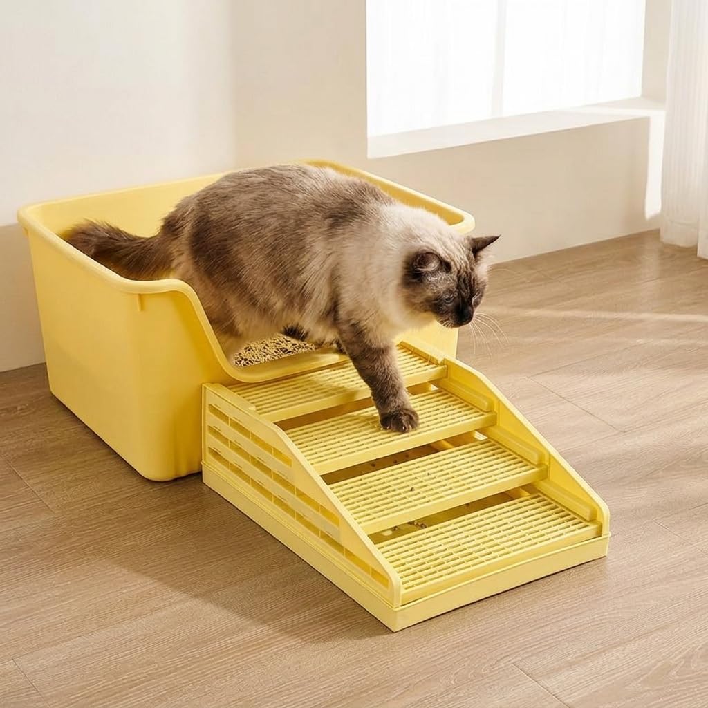 View 6