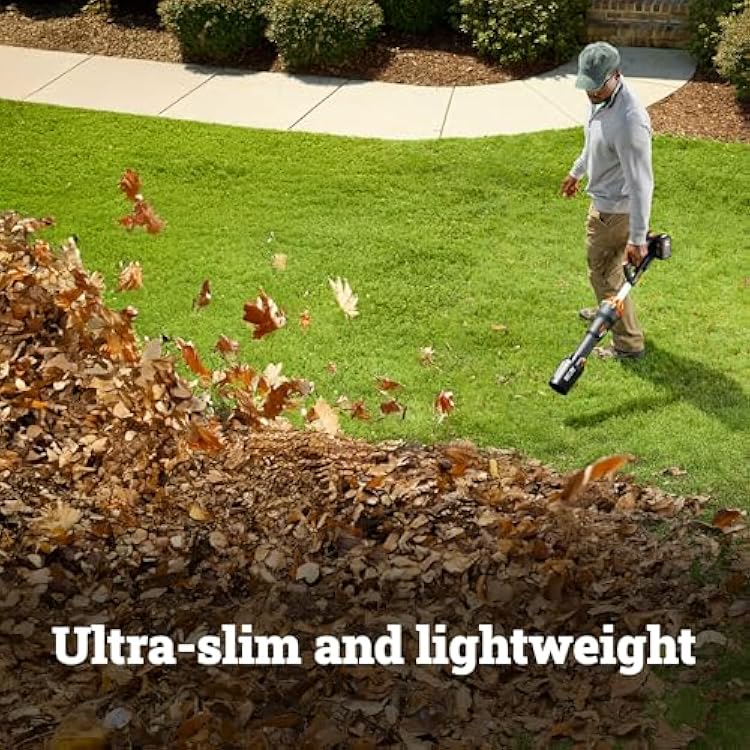 WORX Nitro Cordless Leaf Blower, Electric Blower with 620 CFM & 165 MPH, Blowers for Lawn Care with Brushless Motor & 3 Speed Control, 2 4.0 Ah Batteries & Charger Included, WG585