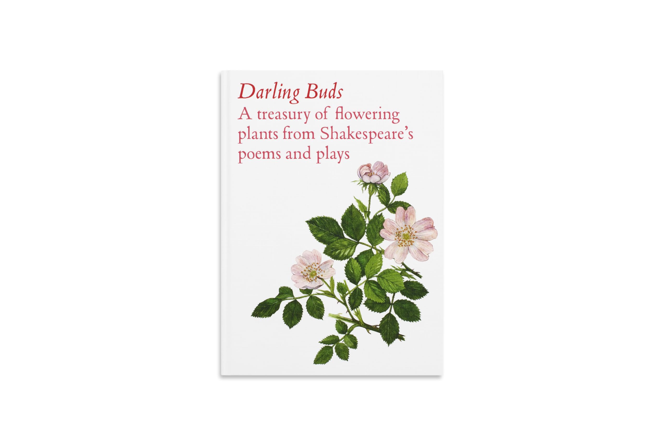 Darling Buds by William Shakespeare Hardback