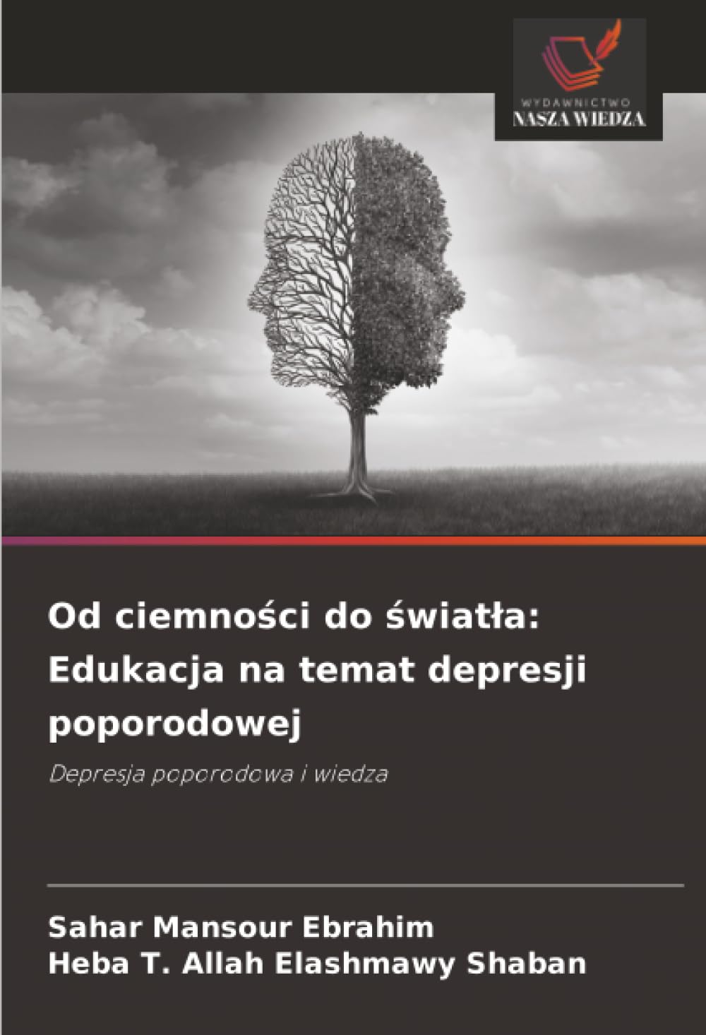Od ciemności do światła: Edukacja na temat depresji poporodowej: Depresja poporodowa i wiedza