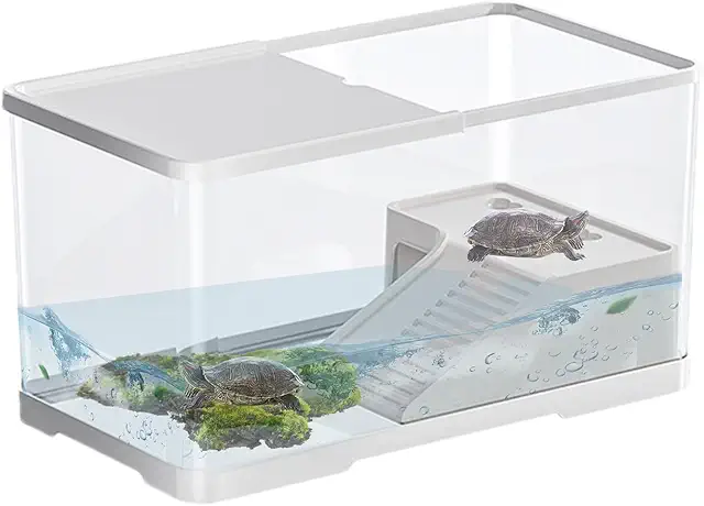 Terrarium Plat pour Tortues Aquatiques avec Plateforme et Drain