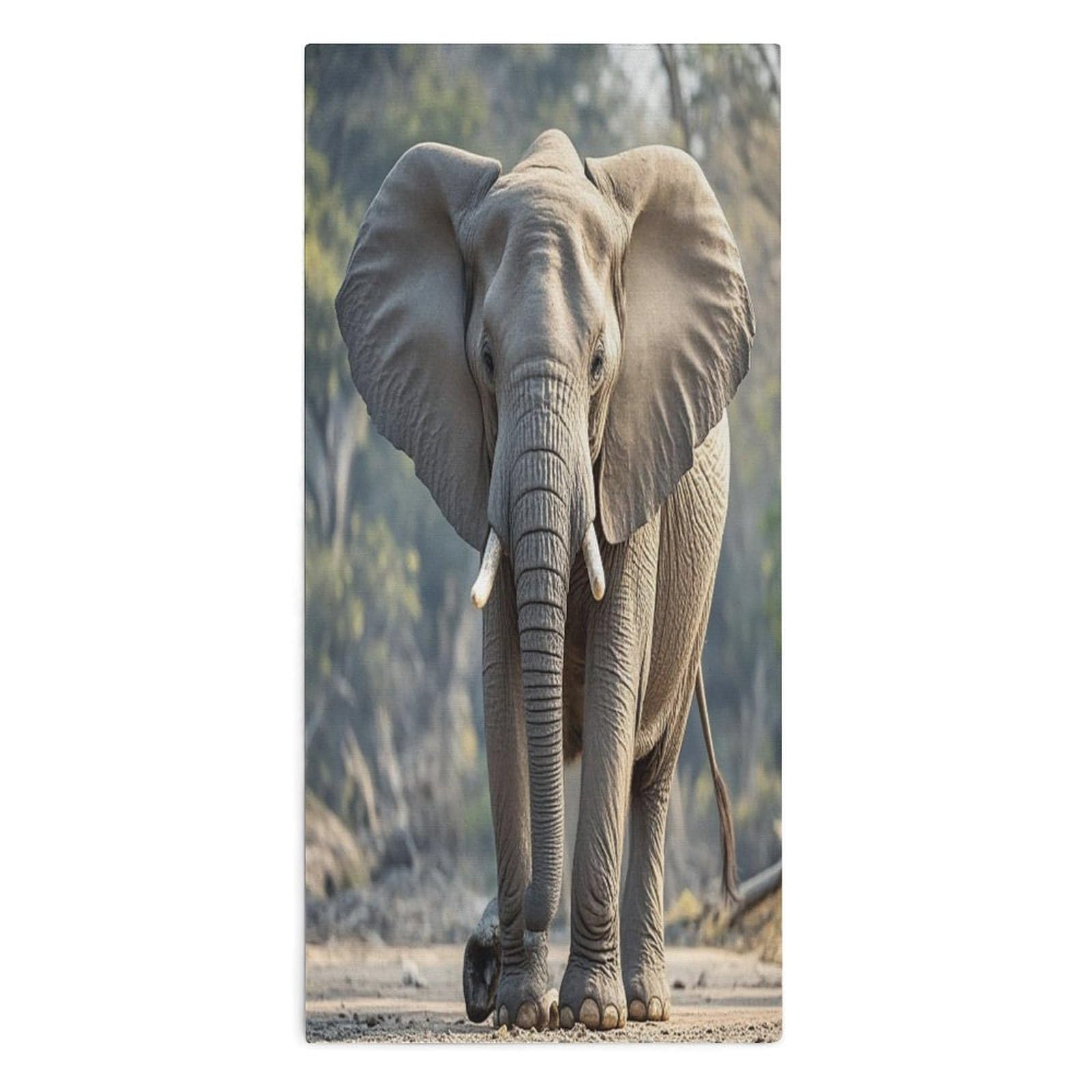 VstaDank Elephant Towel Quick Dry Absorbent Towels for Beach Thin Soft Lightweight Travel Bath Towel Sand Free Super Microfiber Face Towels for Sport Bath Adults