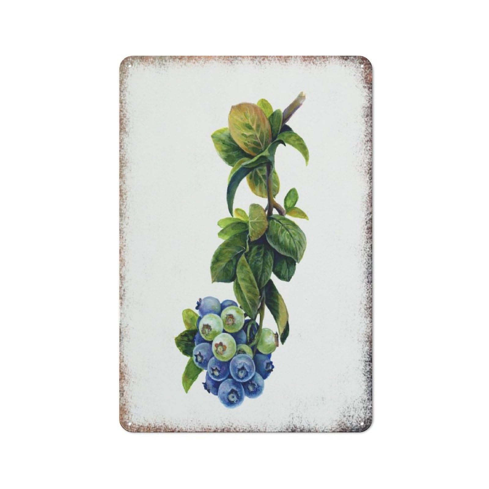 Watercolor Blueberry Floral Minimalist Home Yard Vintage Wall Art 8 * 12inch