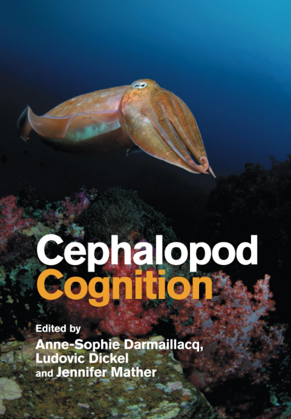 Cephalopod Cognition