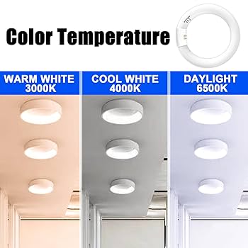 HOW キュー Celiwace FC8T9 22W and FC12T9 32W Set Daylight, 8 inch T9 22