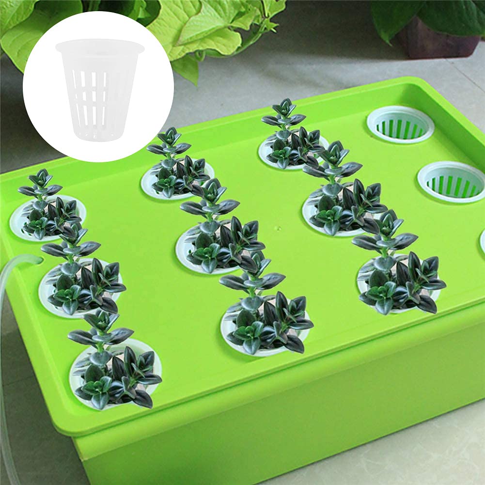 Hydrocultuur plant | Online kopen