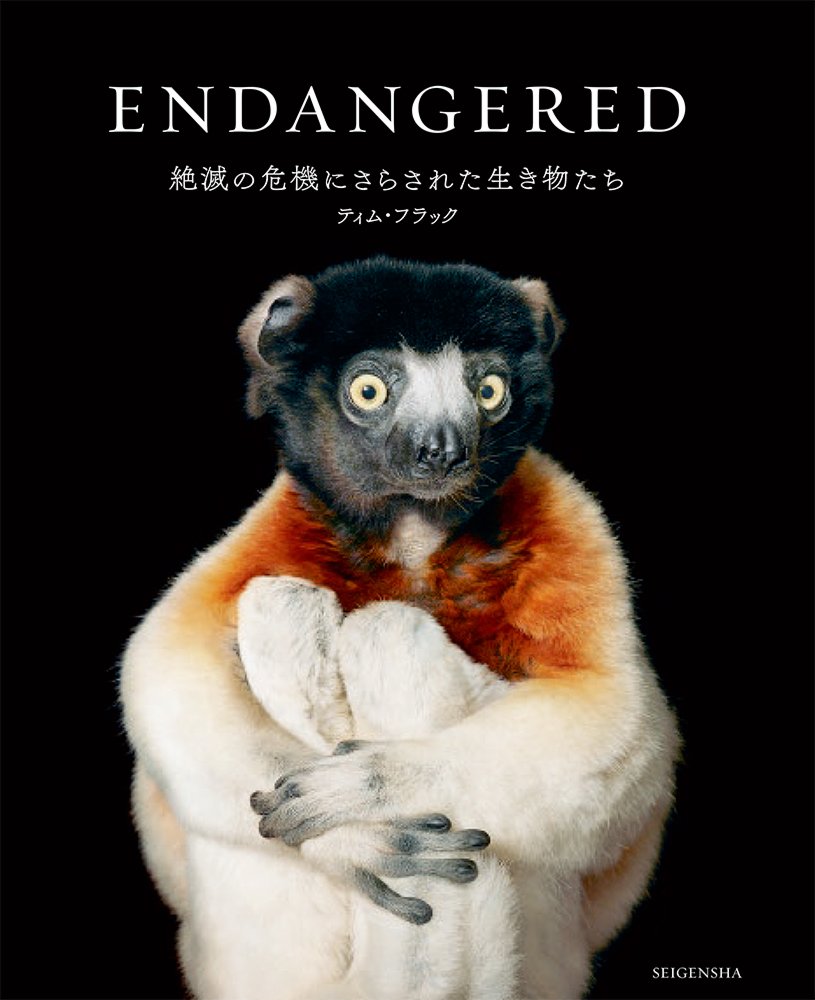 THE RED DATA VINTAGE 絶滅が危惧されるヴィンテージたち。 THE RED DATA VINTAGE 絶滅が危惧されるヴィンテージたち