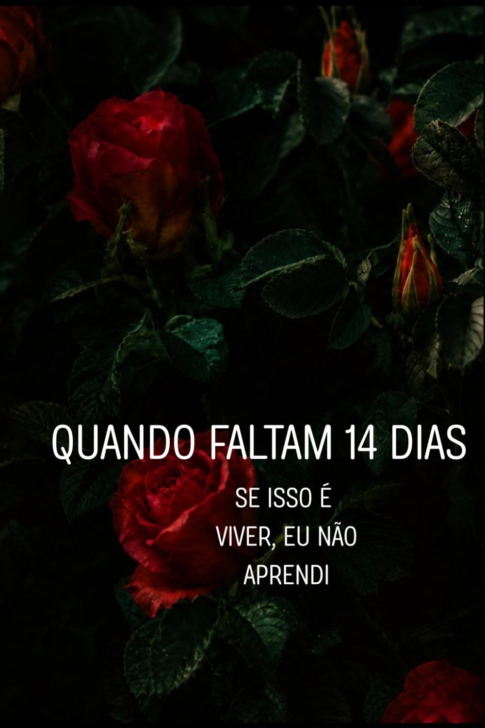 Quando Faltam 14 dias: Se isso é viver eu ainda não aprendi