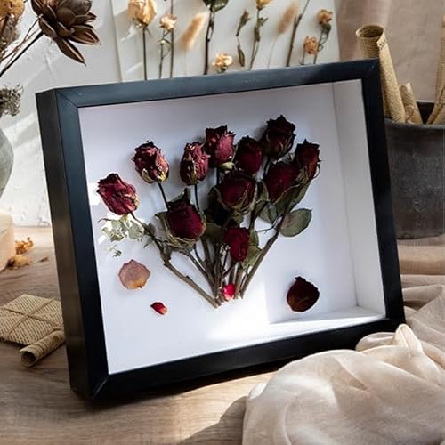 tHgt[ z ` Ǌ| ̊z ʐ^  {bNXt[ hCt[ W{ j j tBMAP[X CeA tHgX^h (ubN)