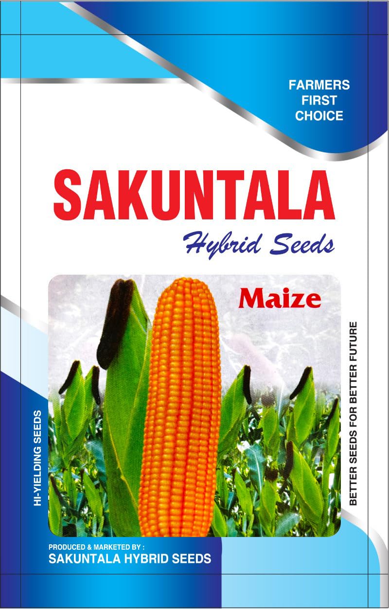 Easy to Grow in Indian Climate Desi Makka Seeds Traditional Indian Maize Variety (Pack of 25 seeds)-image-44