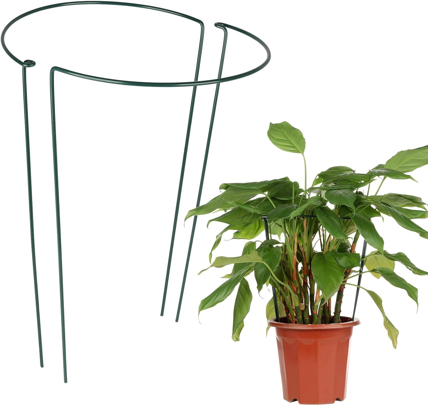 Pflanzenstützen Für Garten Und Balkon – Stabil Und Einfach Zu Verwenden