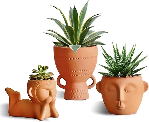 Miniatura 3 de Macetas de terracota, macetas de arcilla para plantas, maceta de cerámica, macetas de cara con cabeza, macetas decorativas para plantas de interior