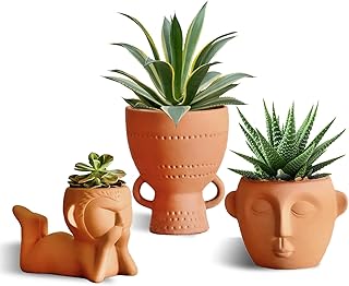 Dheureka Small Terracotta Plant Pots,Head Planter,Face Planters Pots Head,Terracotta Planters,Decorative Flower Pots for Indoor Outdoor Plants,Succulent Planter with Drainage, 4.75/4/ 2.75Inch, 3PC