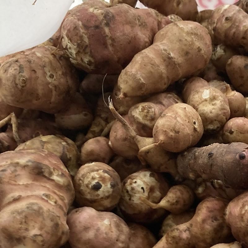 27 もも様専用 岐阜県産 無農薬 菊芋 20kg 洗浄済み 【公式通販】