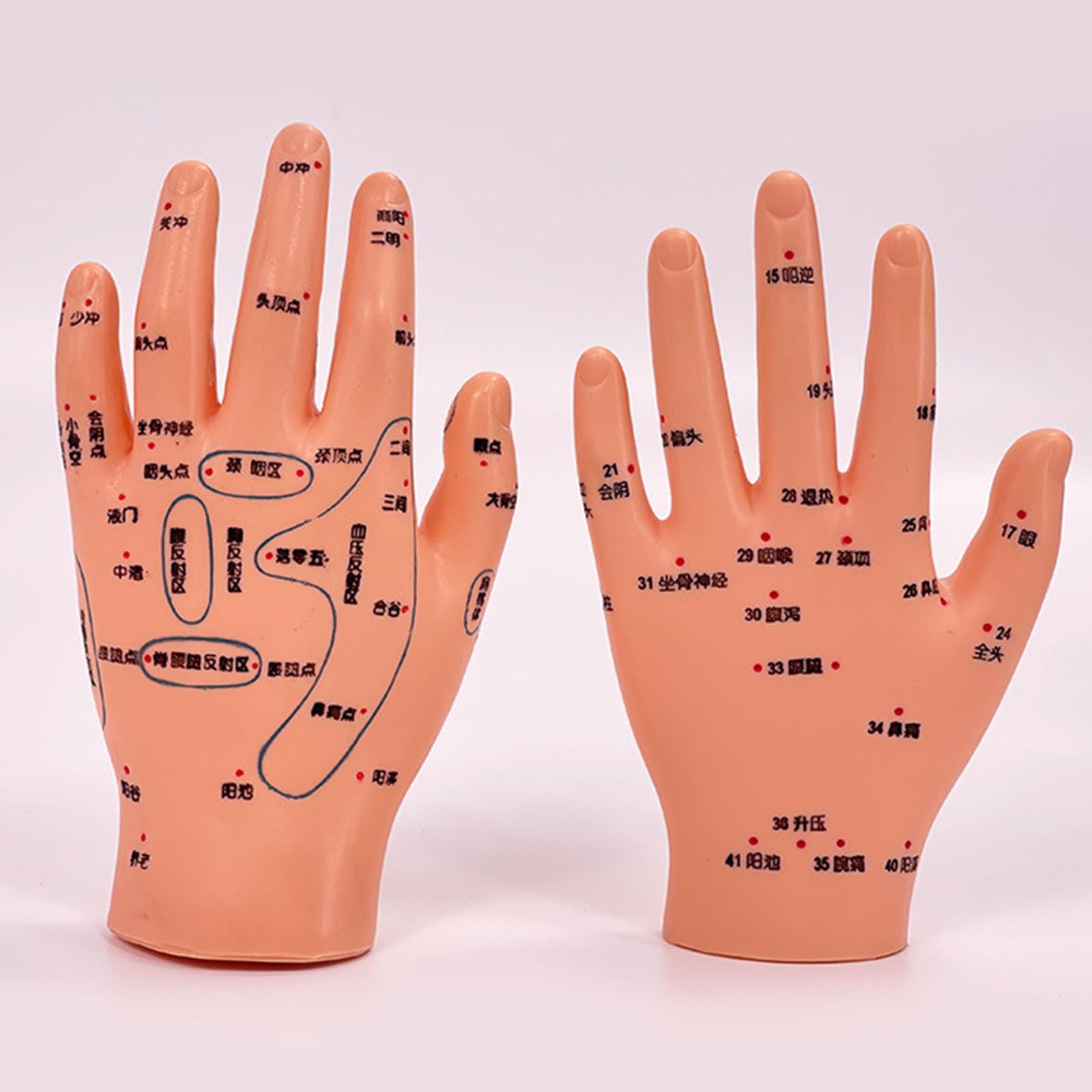 Modello di allenamento professionale per neonati con punti di agopuntura contrassegnati per la formazione nella cura dei neonati e la cura domestica, modello di massaggio pediatrico