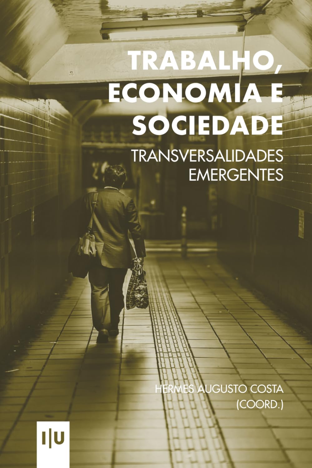 Trabalho, Economia e Sociedade: transversalidades emergentes (Investigação)